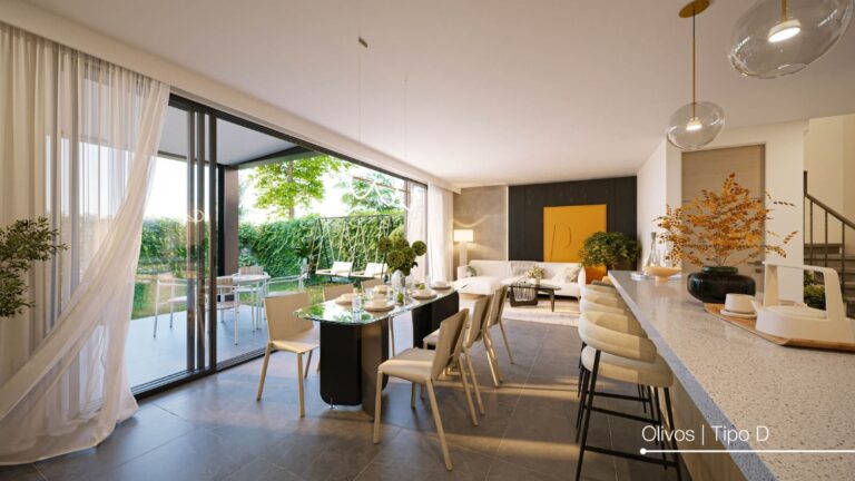 Olivos D